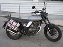 brixton-glanville-250-x