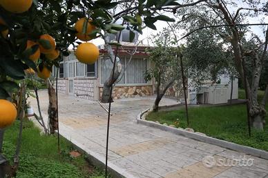 Casa ristrutturata, indipendente con giardino