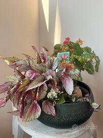 Fiori