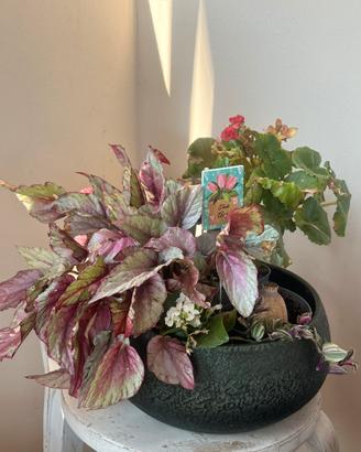 Fiori