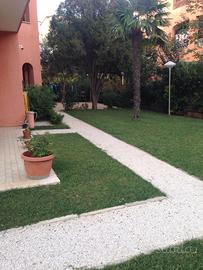 Campo di mare Cerveteri