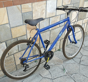 Bici mountain bike