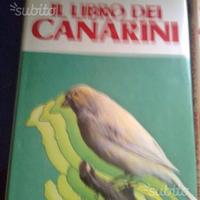 "CANARINI"