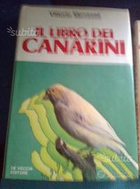 "CANARINI"