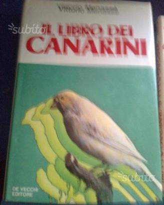 "CANARINI"