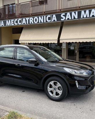 Ford Kuga 1.5 ecoblue Titanium Business 2wd 120cv