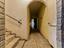 Immagine 29