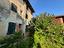 Immagine 7