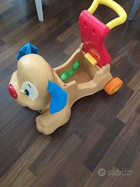 Cagnolino primi passi