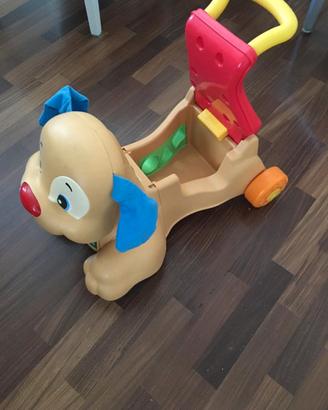 Cagnolino primi passi