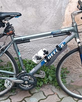 Bicicletta wheeler