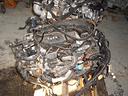 motore-ford-focus-1-6-d-t1da