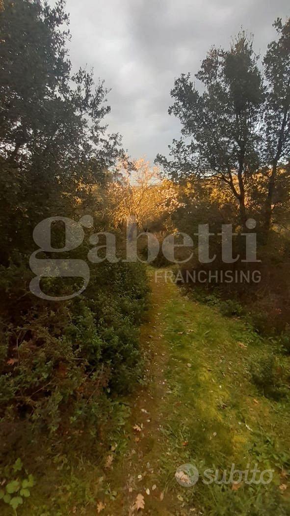 San Basilio, terreno agricolo di 3270 mq - Altro