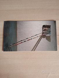 Cartolina Armando Marocco Lo Scettro Del Faraone