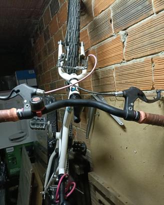 BICICLETTA BAMBINA