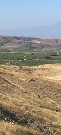 Terreno 8 Ha circa c.da Lanzacucco Mineo