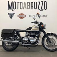 Triumph Bonneville T100 aurum gold fusion white