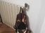 Immagine 1