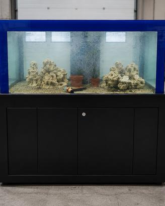 acquario marino per astici, aragoste e pesci