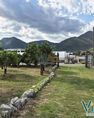Terreno Agricolo - Fondi