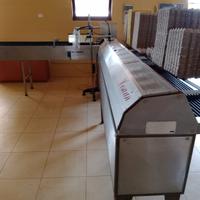 selezionatrice per uova 