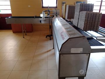 selezionatrice per uova 