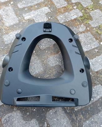 Piastra monolock 