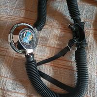 erogatore Royal Mistral