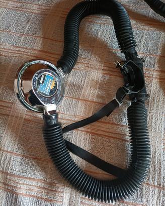 erogatore Royal Mistral