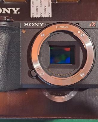 Sony A 6600