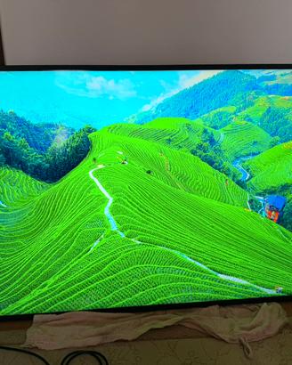 MONITOR LIYAMA PRO LITE 55 POLLICI