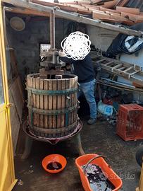 Torchio gabbia da 60 usato