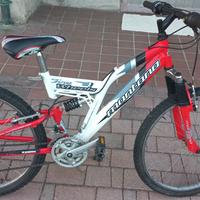 Bici bambino