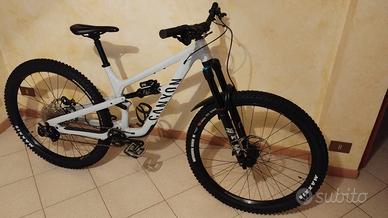 Canyon Spectral AL 6 2024