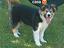 Immagine 5