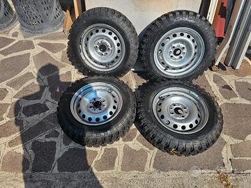 Gomme per panda 141 