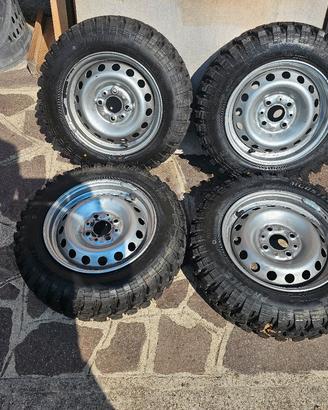 Gomme per panda 141 