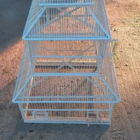 gabbia uccellini