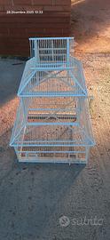 gabbia uccellini