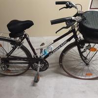 Bicicletta  city bike da donna