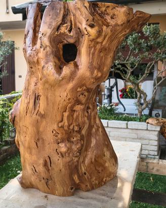 scultura naturale in legno di gelso 