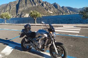 fz6 perfetta