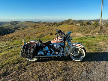 Heritage Springer