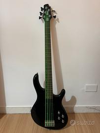Basso elettrico 5 corde