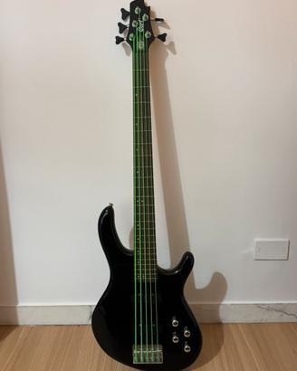 Basso elettrico 5 corde