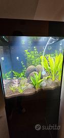 Acquario Aquael Glossy Cube 135L completo + mobile
