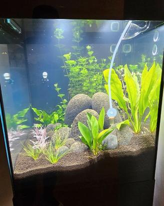 Acquario Aquael Glossy Cube 135L completo + mobile