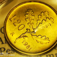 20 lire ramo di quercia anno 1981