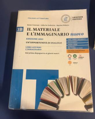 Libri italiano: il materiale e l’immaginario