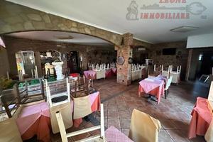 Locale commerciale di 200 mq oltre a giardino con